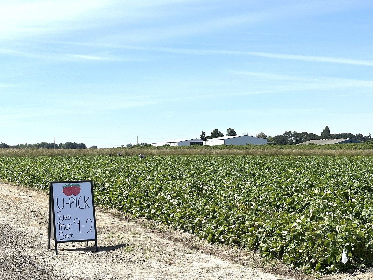 Neighbors saw a need and filled it — with strawberries