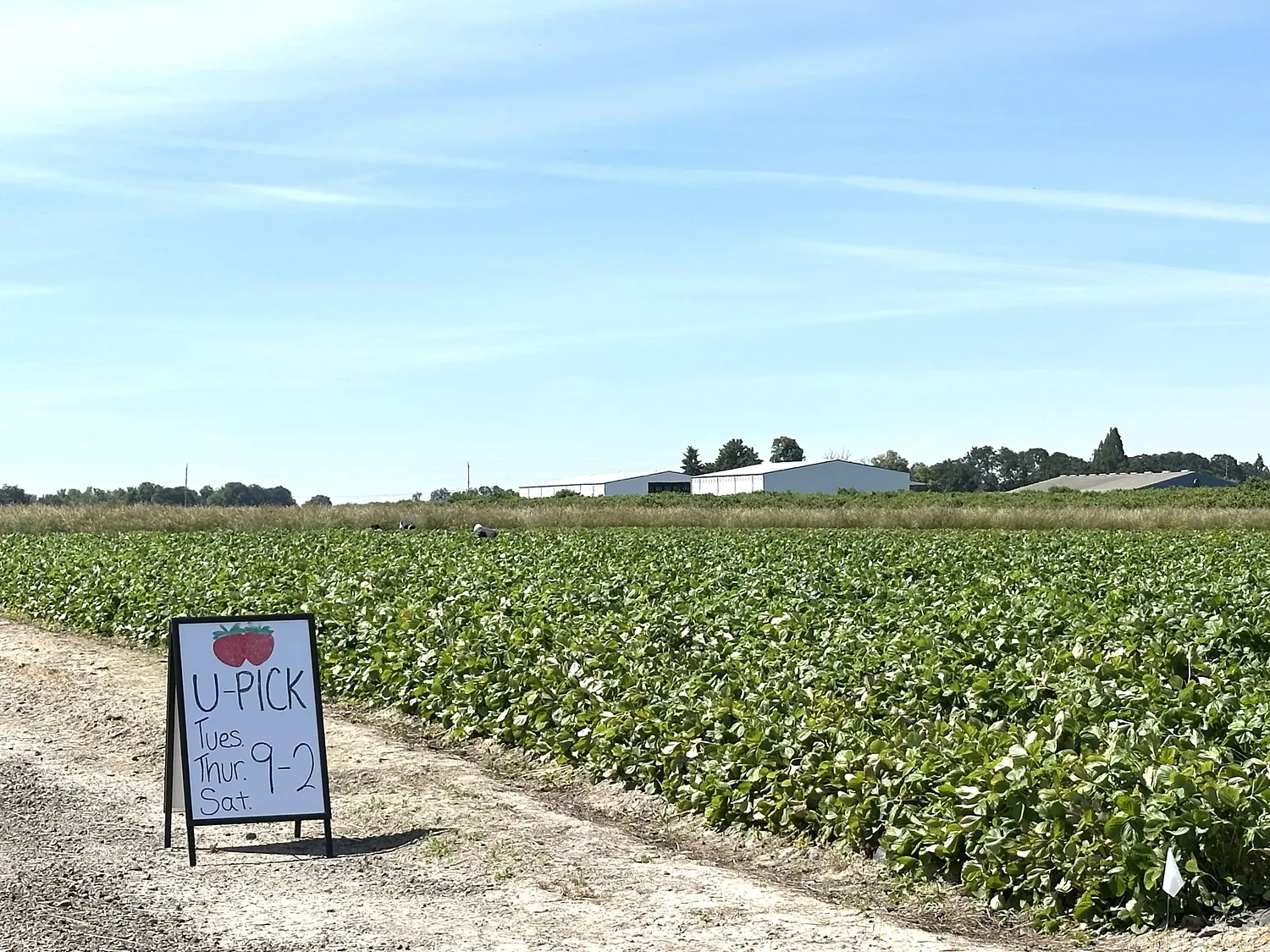 Neighbors saw a need and filled it — with strawberries