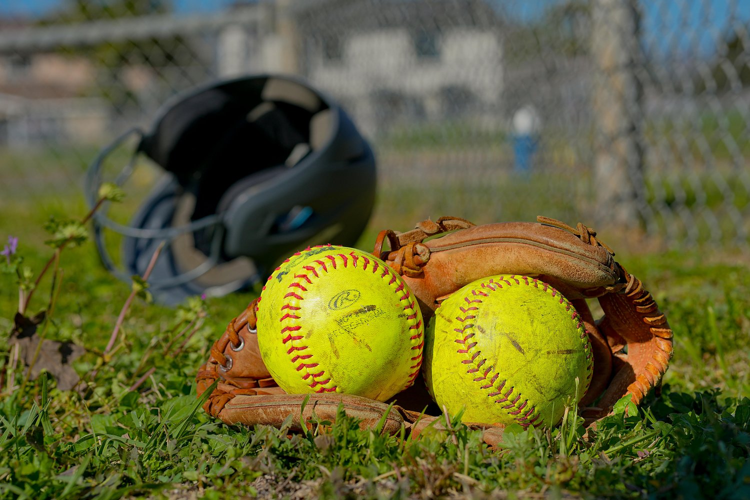 Sophomore bats .769 with 10 RBIs in 3 games, voted Oregon Softball Player of the Week (6/8/2026)