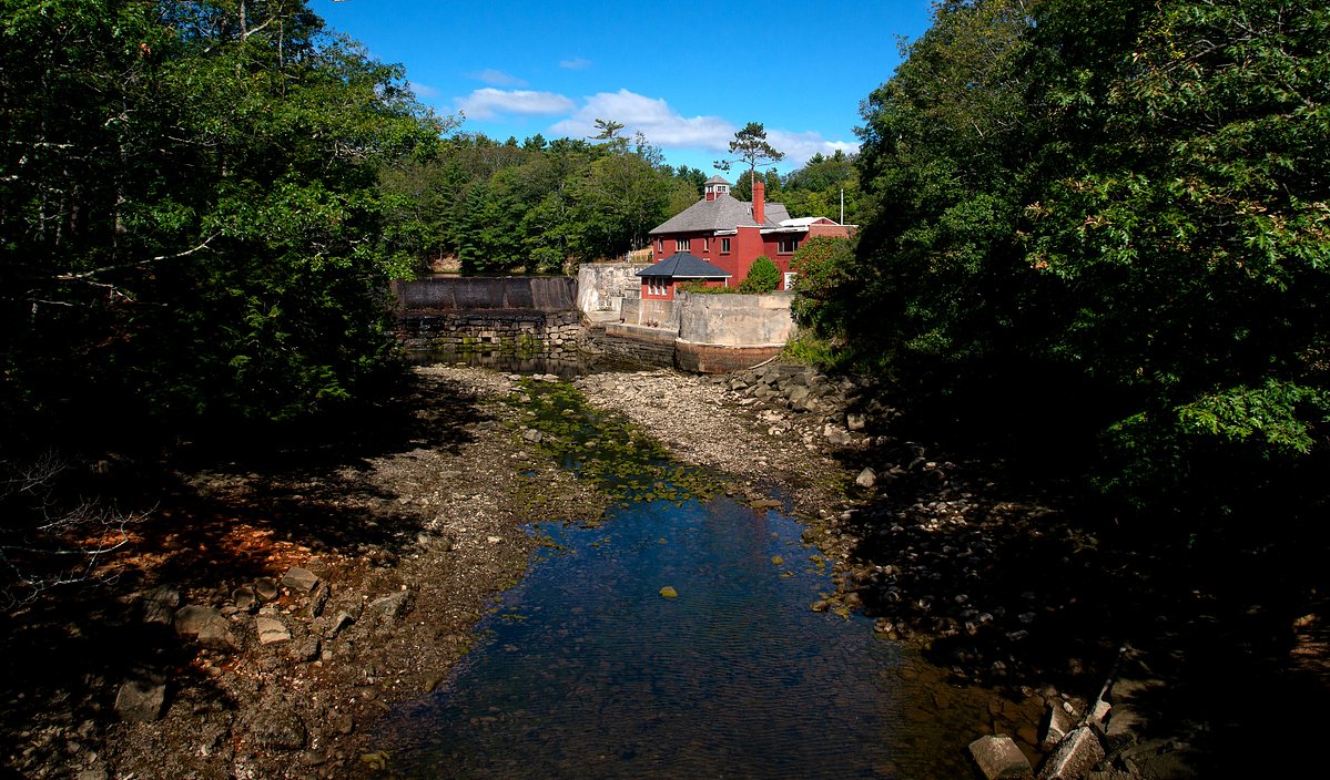 Belfast conservation group buys site of former salmon farm project