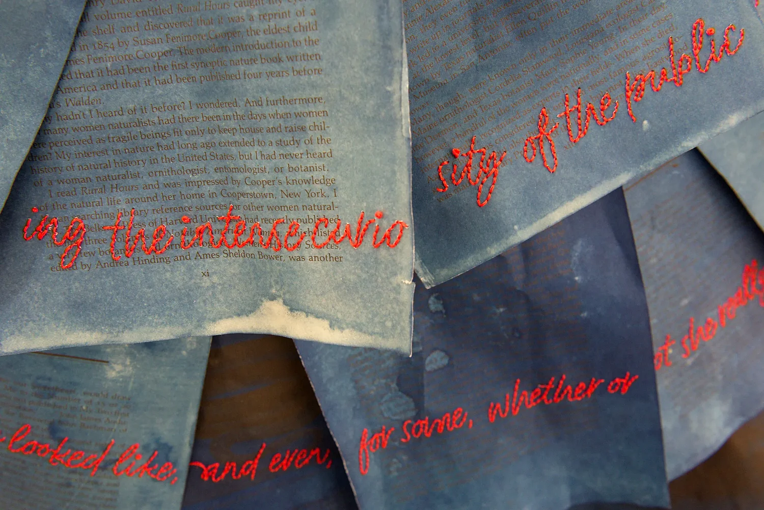 Art Notes: At Bookstock, Unbound exhibit deserves attention