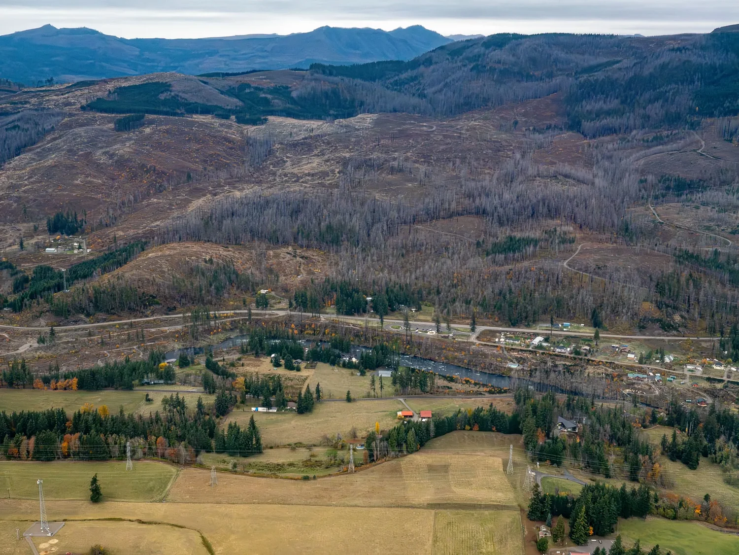 Appeals judge who sided with PacifiCorp used to represent the utility