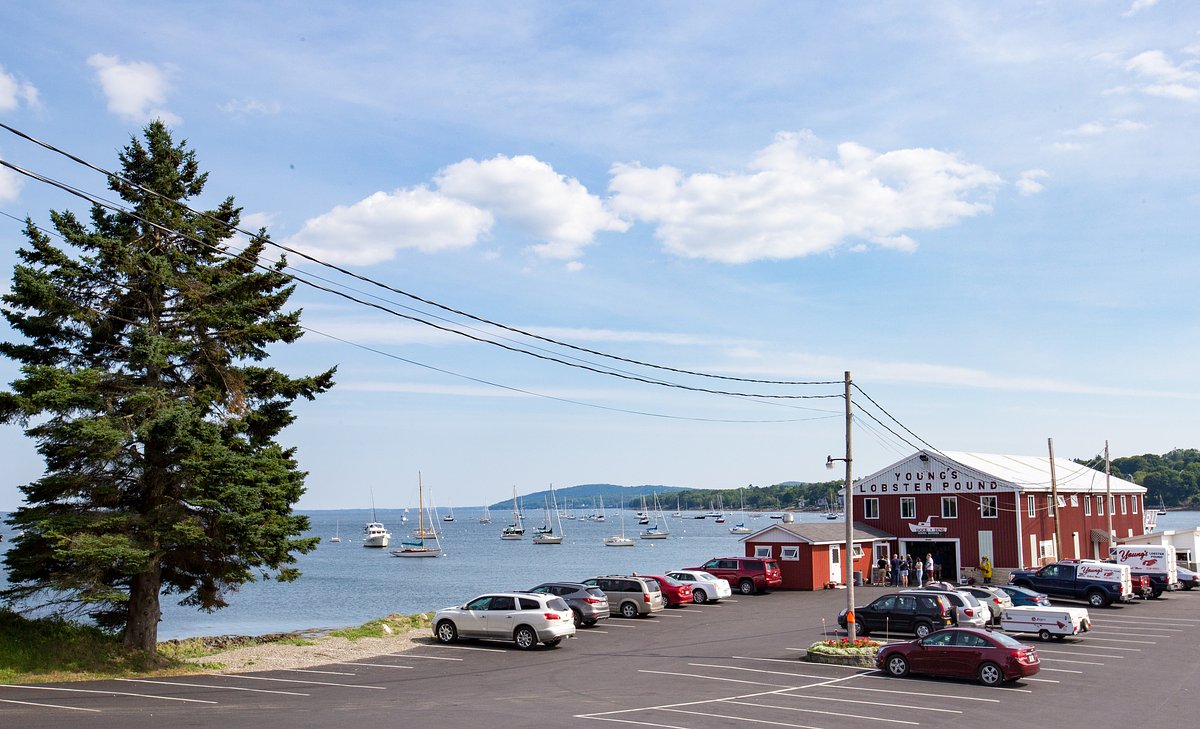Contentious Belfast family lobster pound lawsuit makes it to Maine high court