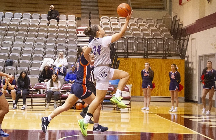 Scores & Highlights From Metro League Girls Basketball Playoff Action