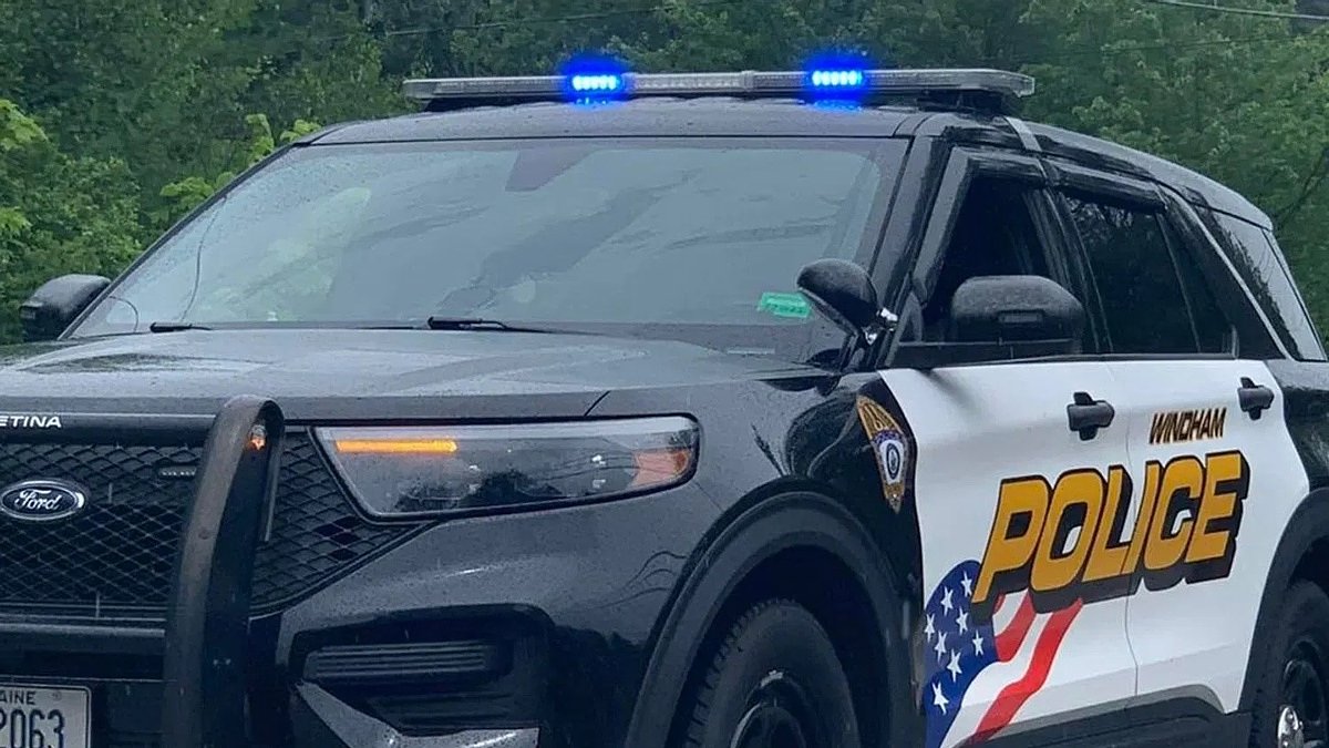 Drivers, police dog injured in Windham crash