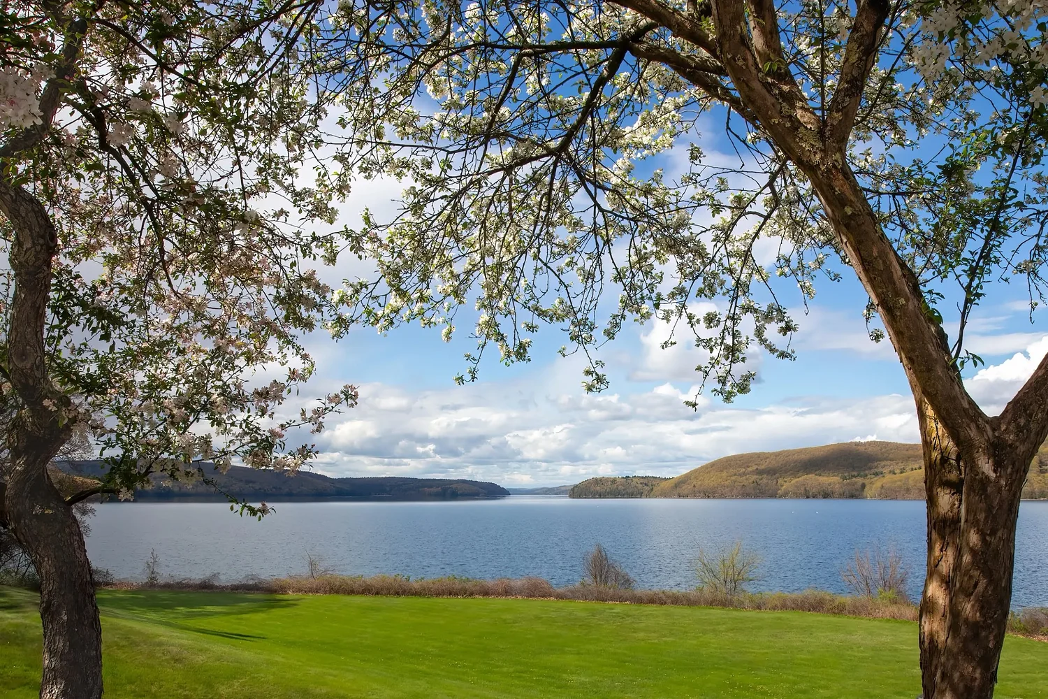Area Briefs: DCR to lead Quabbin hikes over next two months