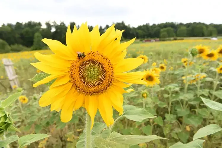 Montague Notebook: Aug. 15, 2025
