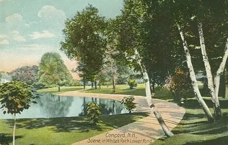 Vintage Views: The General’s Pet Ducks