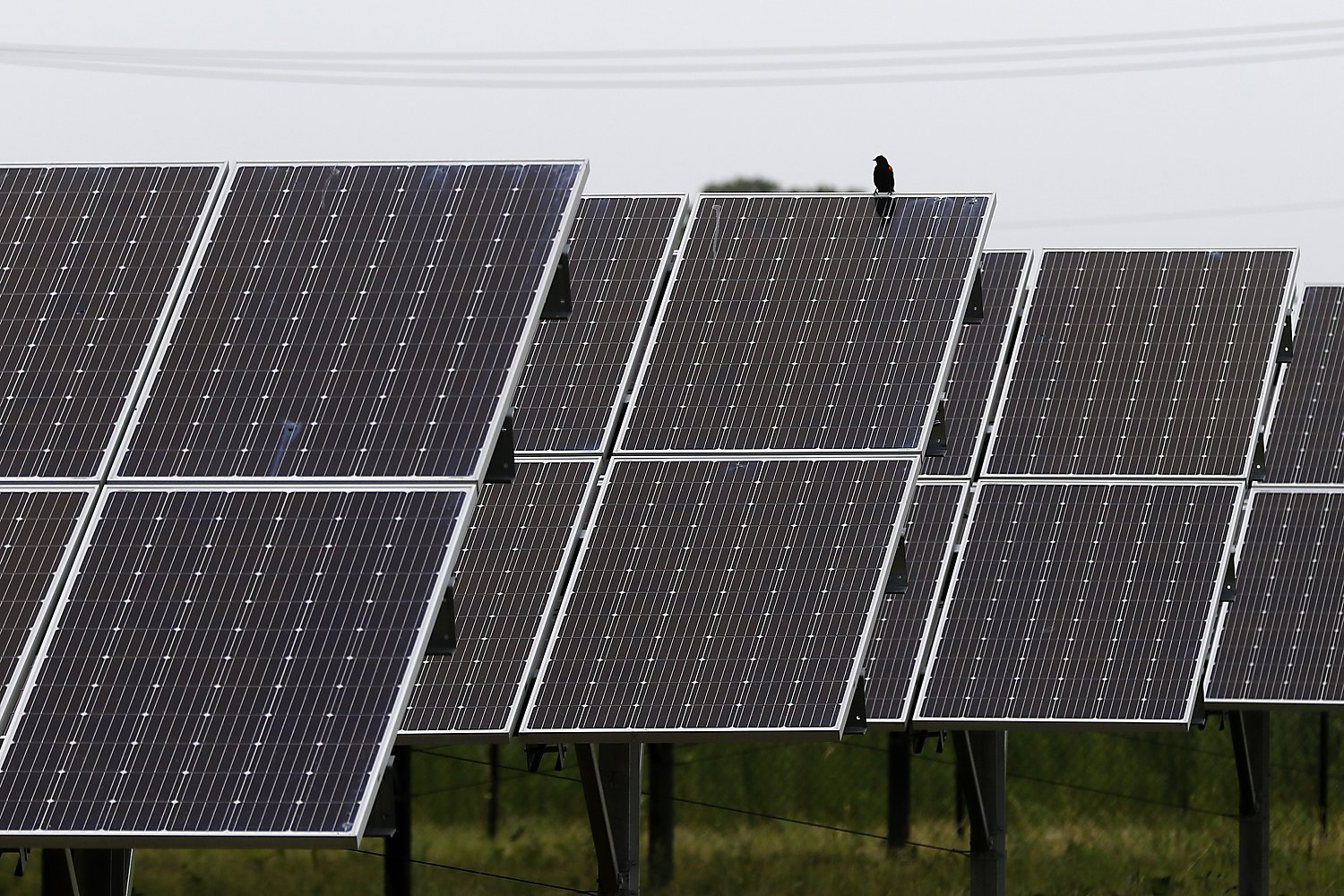 McHenry County denies solar farms – then gets sued for turning them down