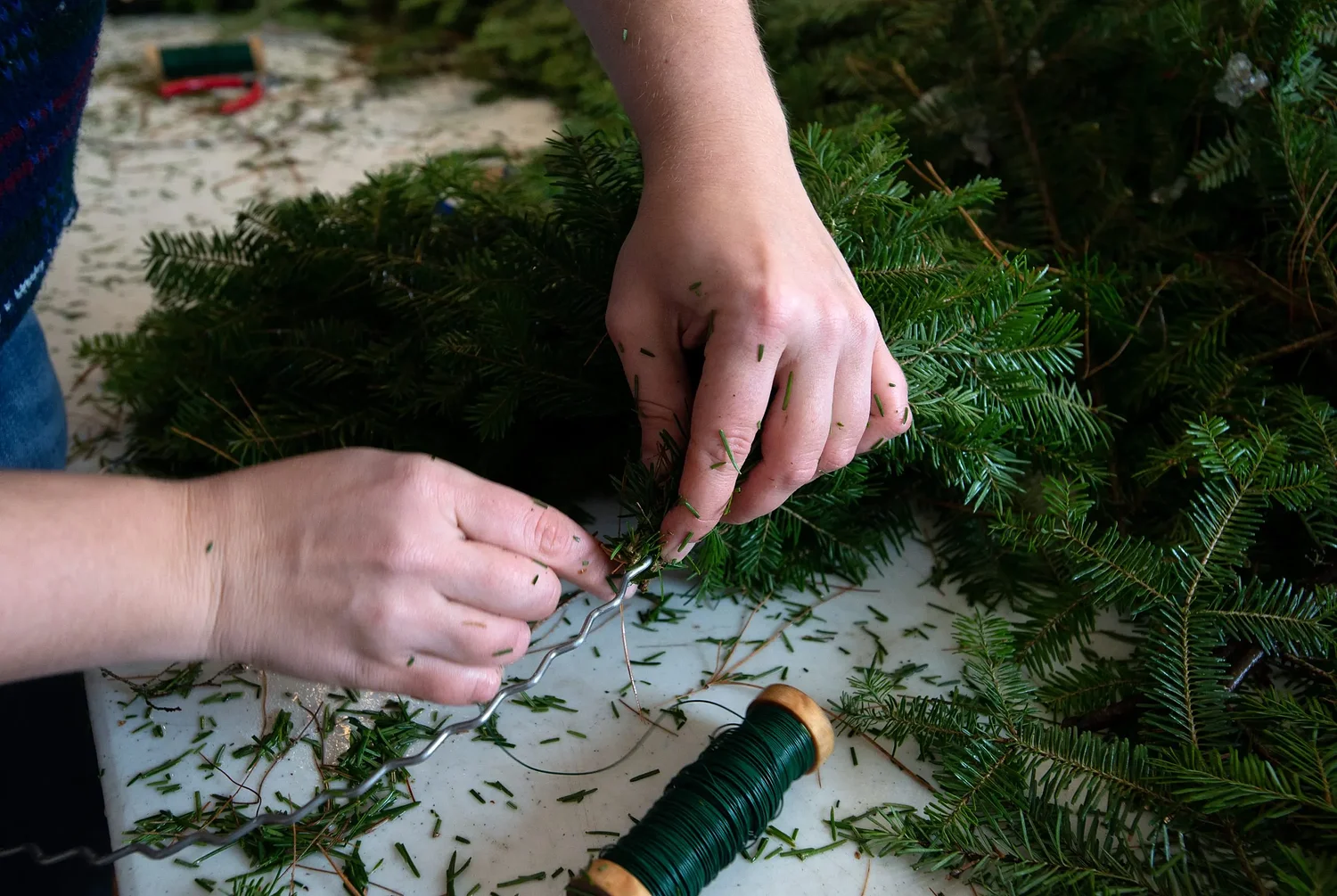 How to keep bad bugs from hitchhiking on holiday decorations