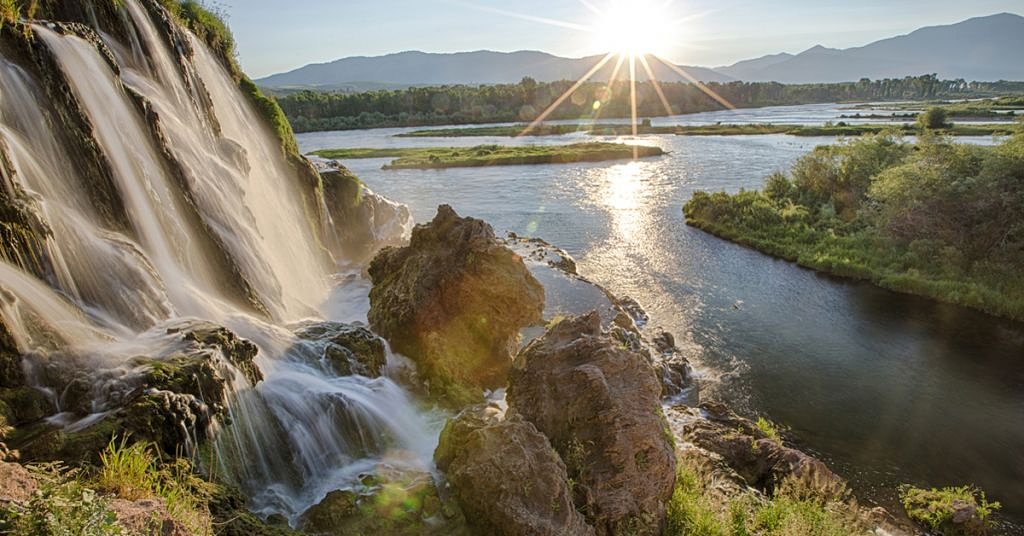 It’s now or never if the Nation is going to stop Northwest salmon extinction