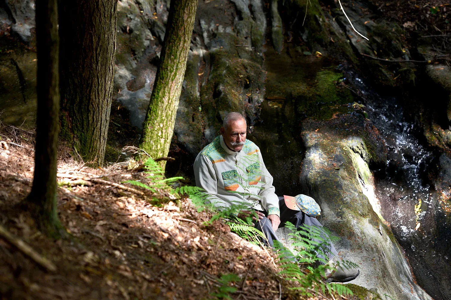 Art Notes: Windsor artist Davey Davis unveils nature’s hidden faces in new exhibit