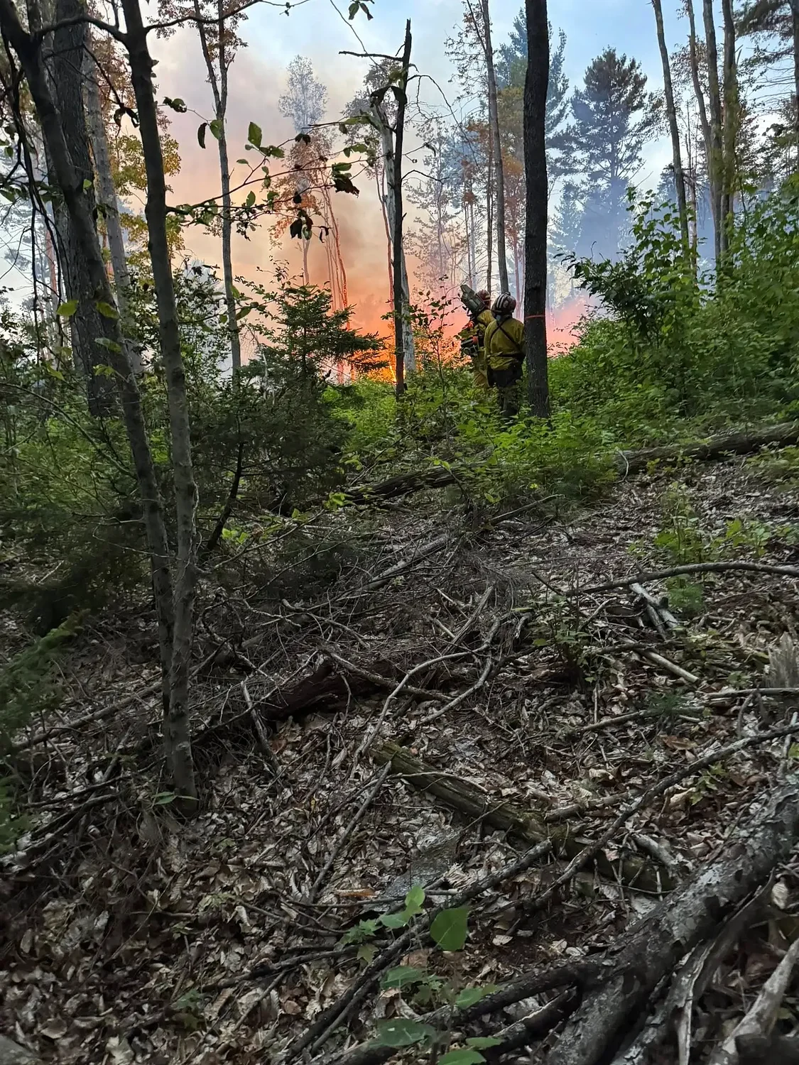 Heath, Colrain crews battle 5-acre wildfire at H.O. Cook State Forest