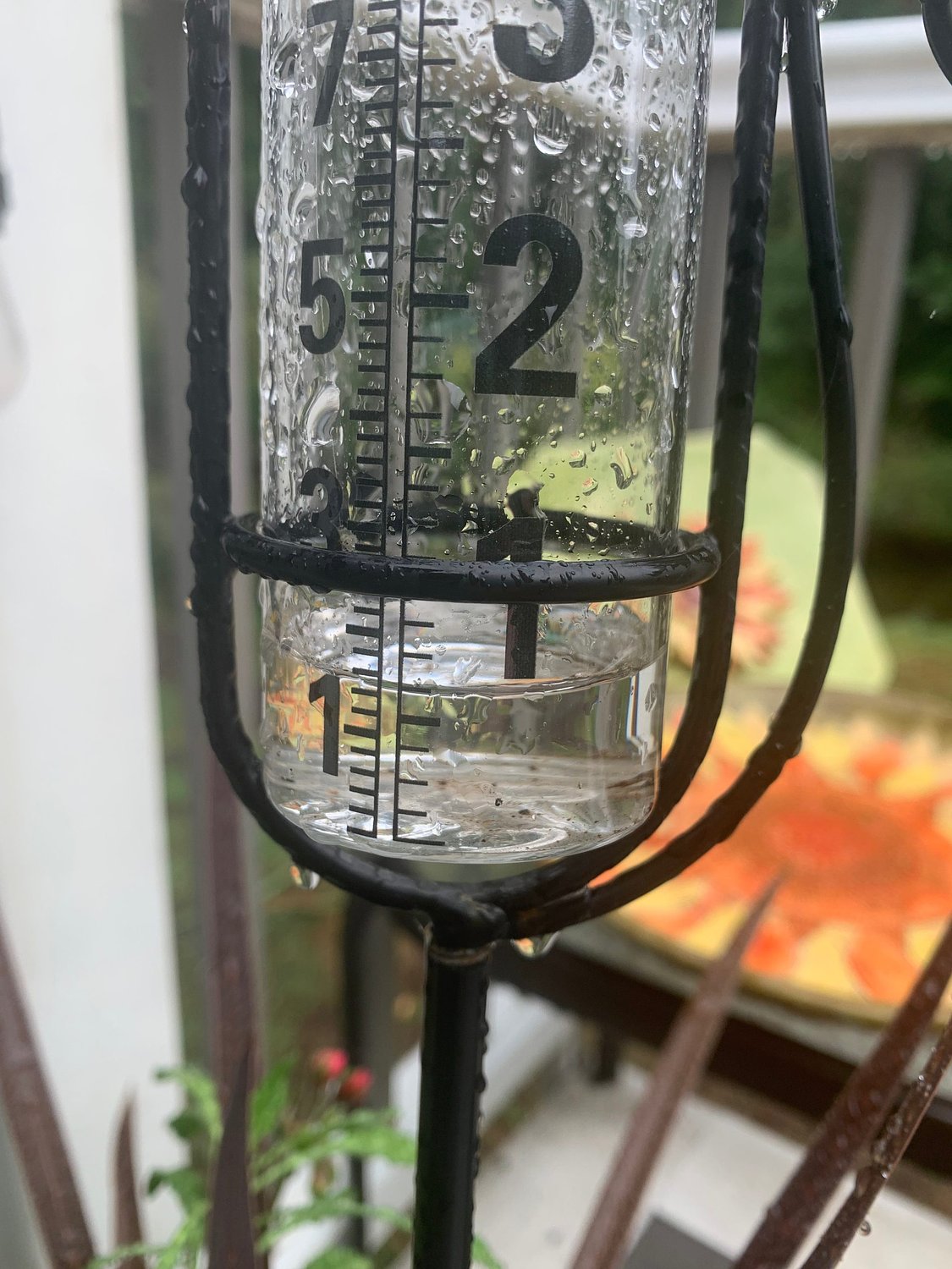 ‘A rainy day in August is music upon our windows’