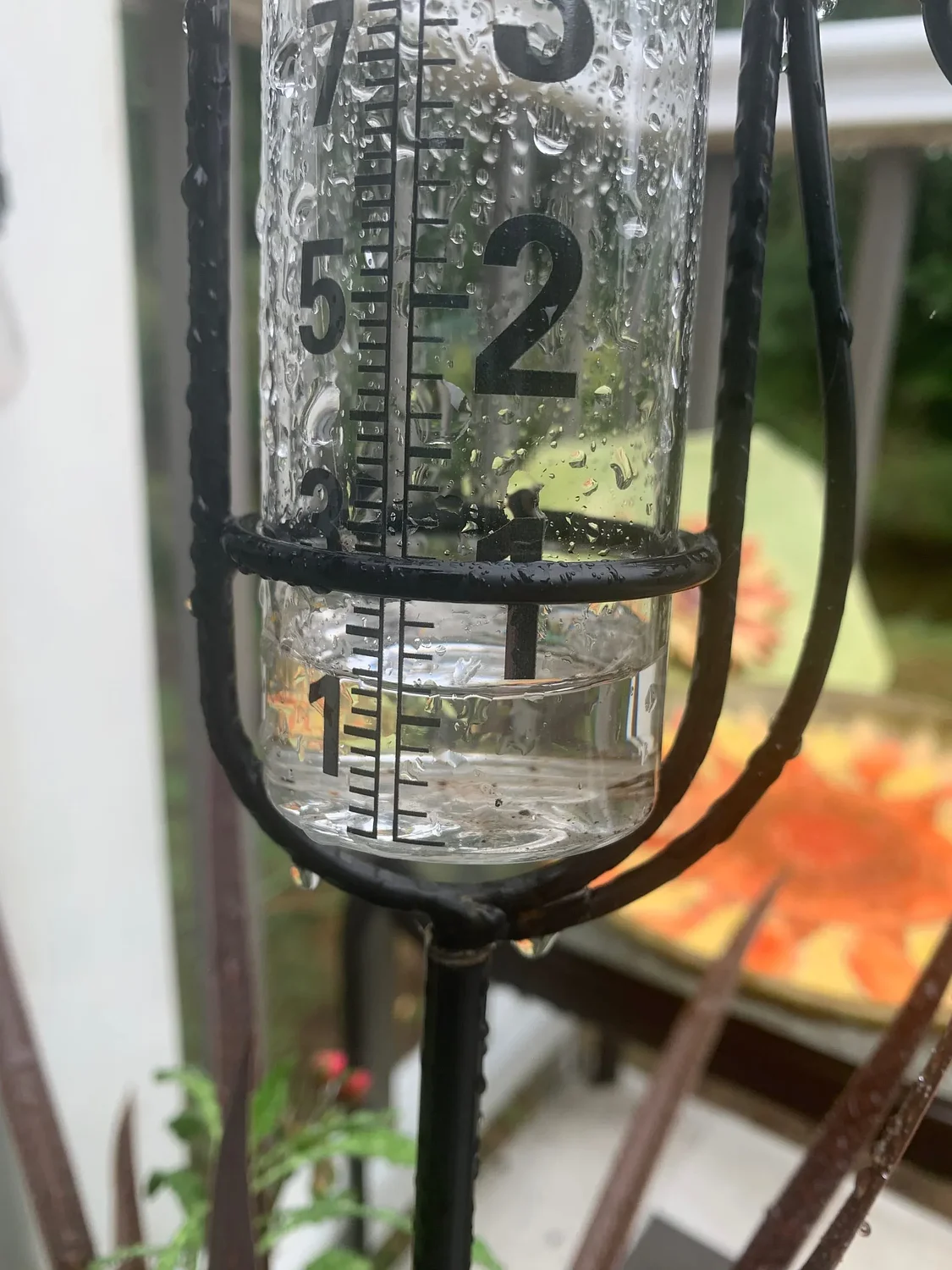 ‘A rainy day in August is music upon our windows’