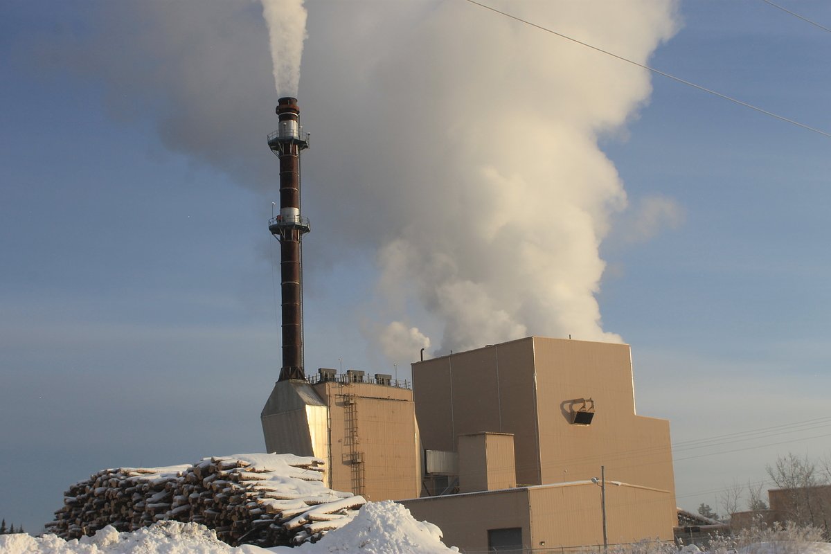 Biomass works for Maine, and Susan Collins helped make it happen