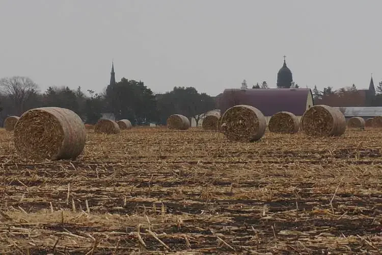 Opinion: The land that Jack farmed