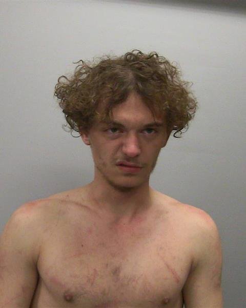 Lee County judge grants furlough to Dixon man held on weapons charges, can go to sober home