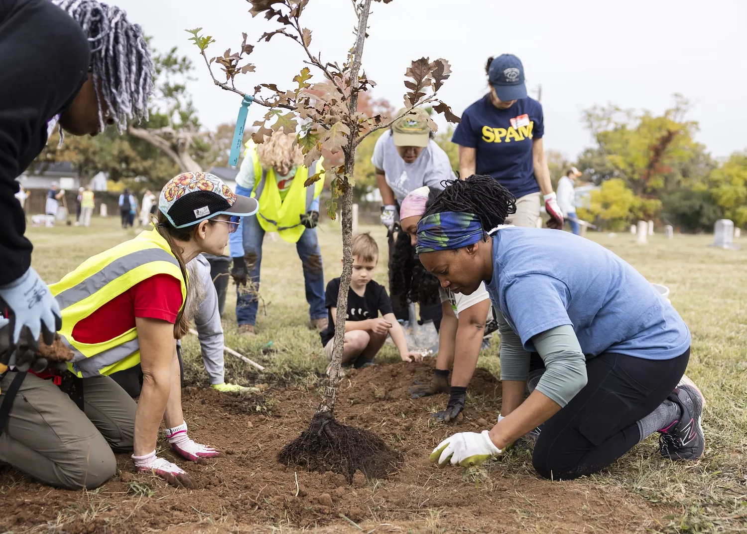 Trees for the forest: Austin grows its beloved canopy to raise quality of life