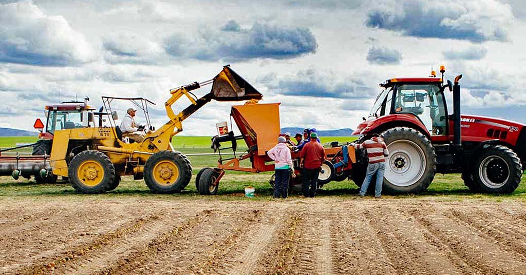 Amid Deschutes drought, farmers and frogs struggle to share water