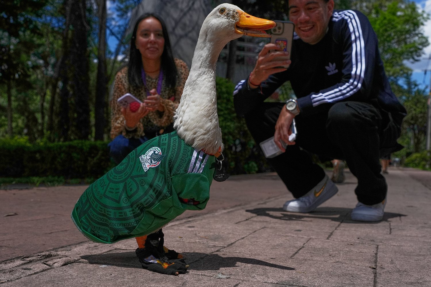 Meet Merlin the duck, Mexico’s unofficial World Cup mascot