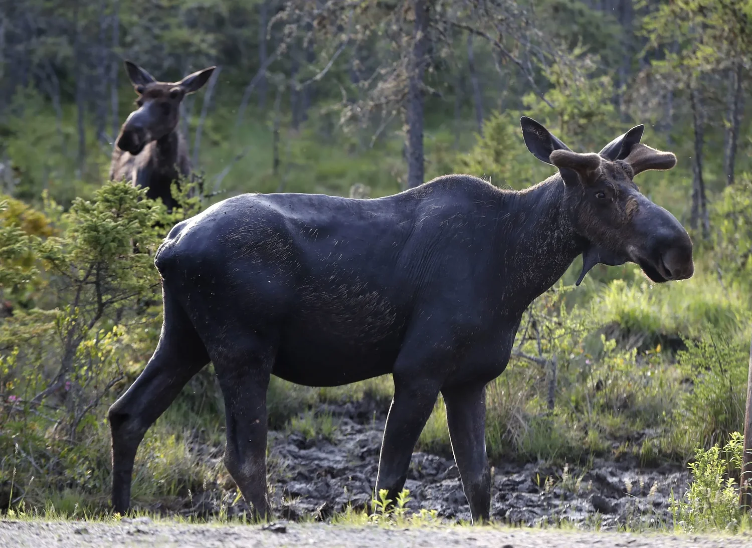 We asked for your biggest hunting pet peeves. Here’s what you said.
