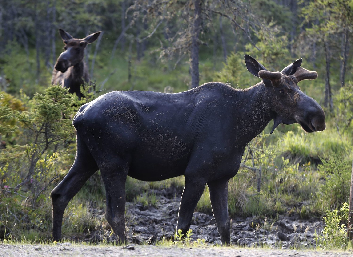 We asked for your biggest hunting pet peeves. Here’s what you said.