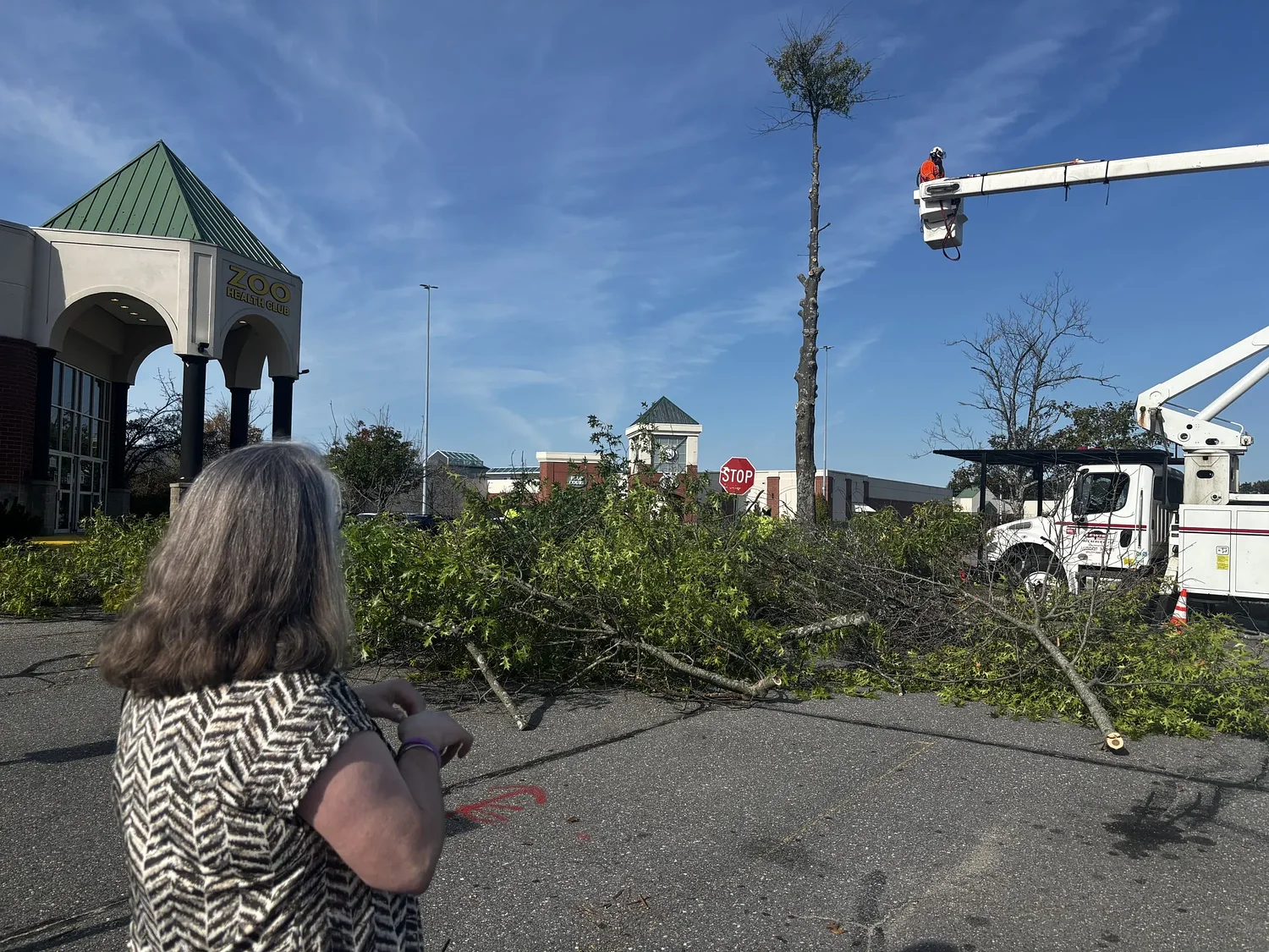 Zoe Desmarais clung to life next to a tree at Steeplegate Mall. It was cut down to become a keepsake for her mother