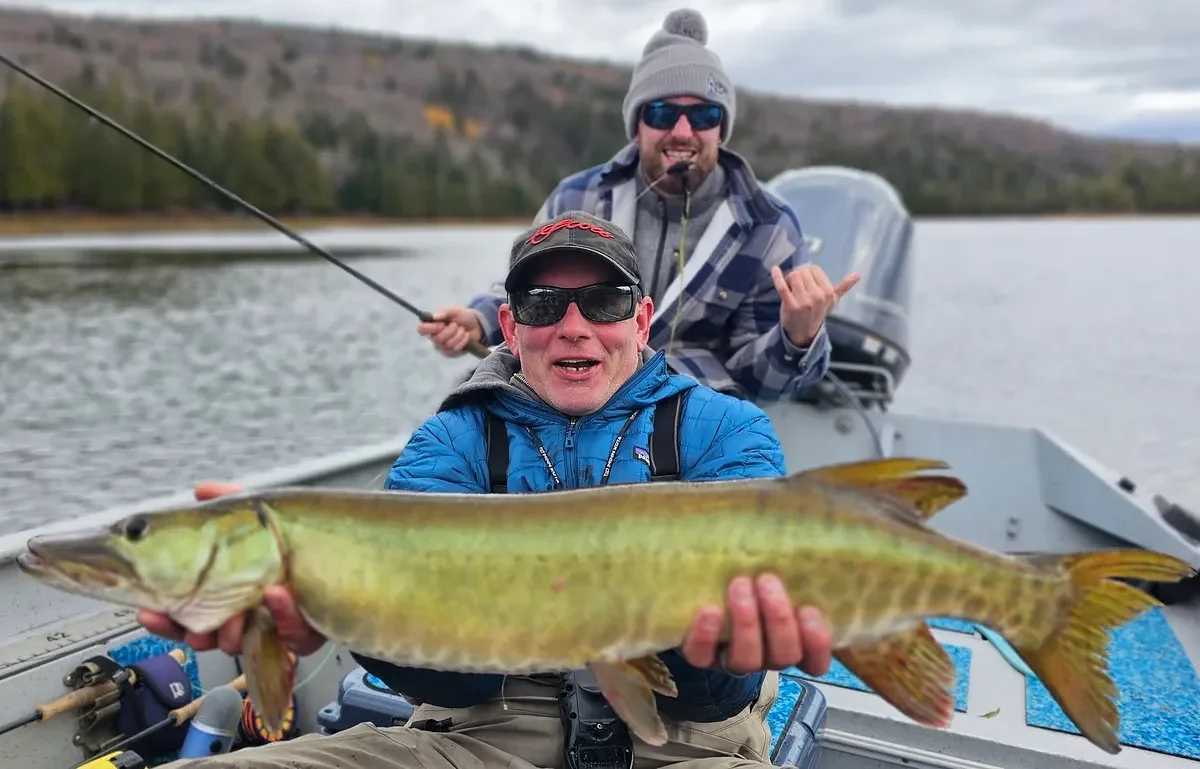Pure chaos chasing muskies on an annual Maine fishing trip  