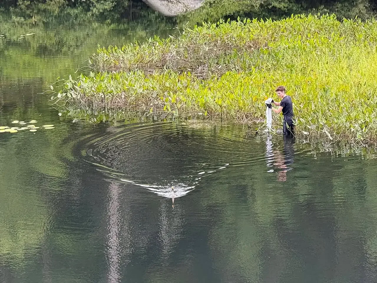 Peterborough’s Detective Reichl rescues distressed bird tangled in fishing line