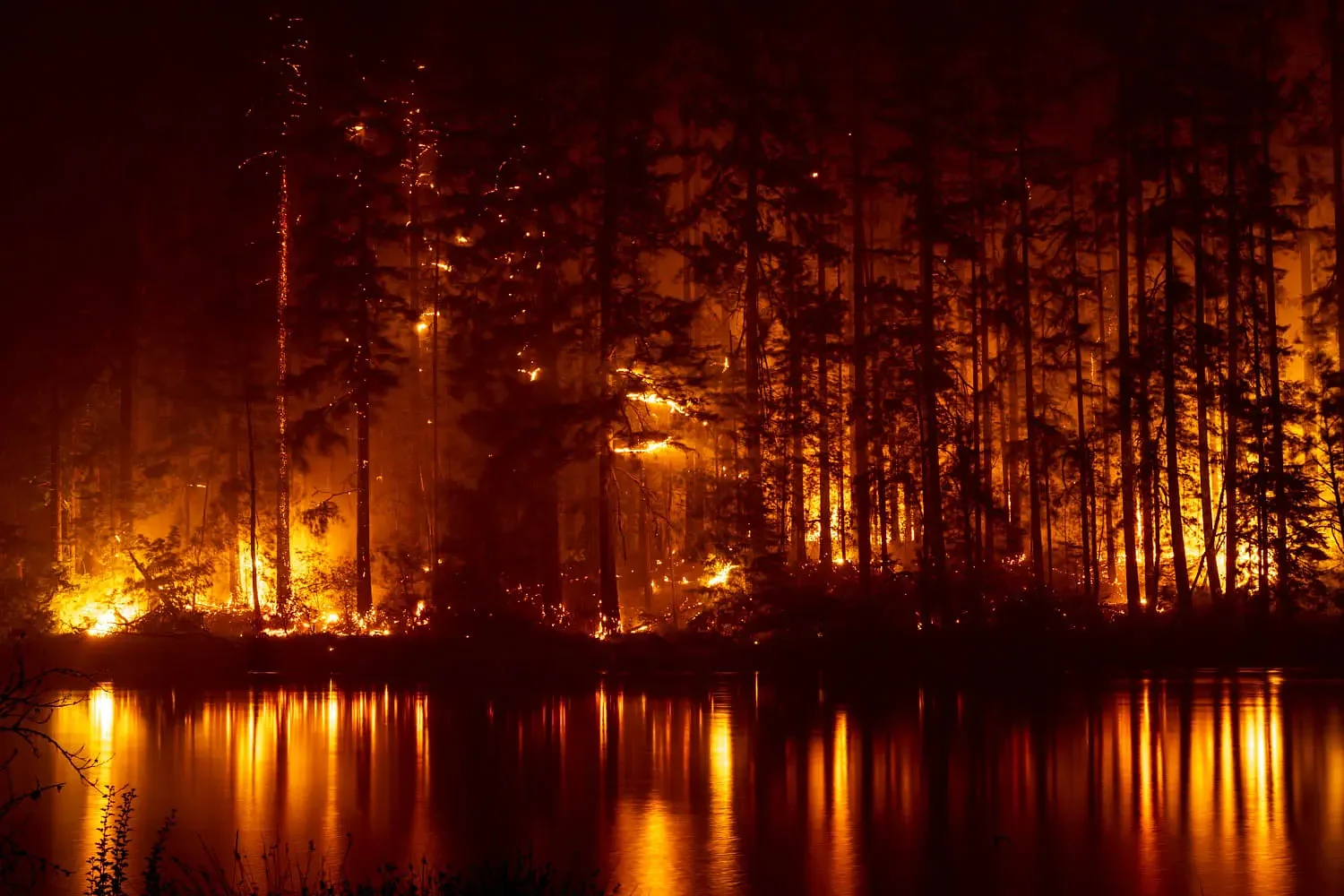 Lane County: State should allow Holiday Farm Fire victims to continue living legally in RVs