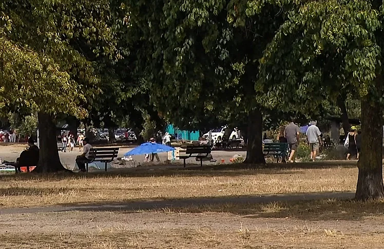 Suspect Arrested In Golden Gardens Park Shooting; Man Hospitalized