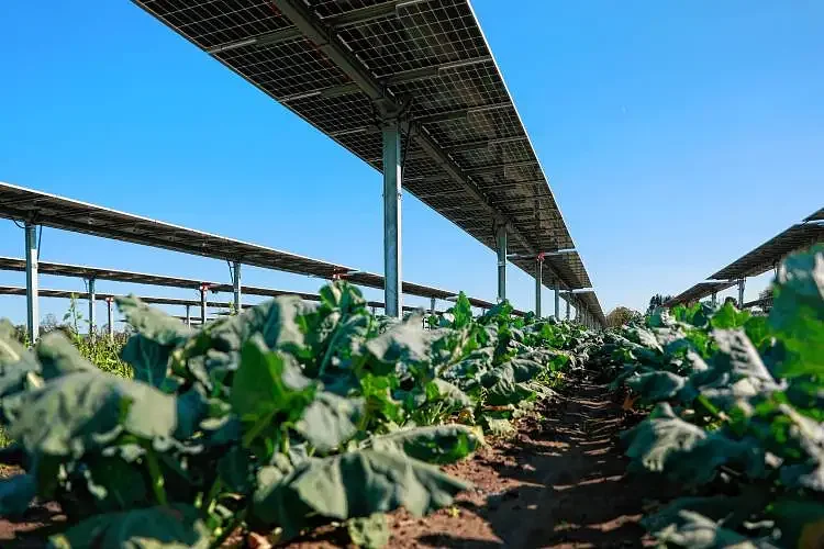 Farm bill aims to foster agricultural resilience in Massachusetts