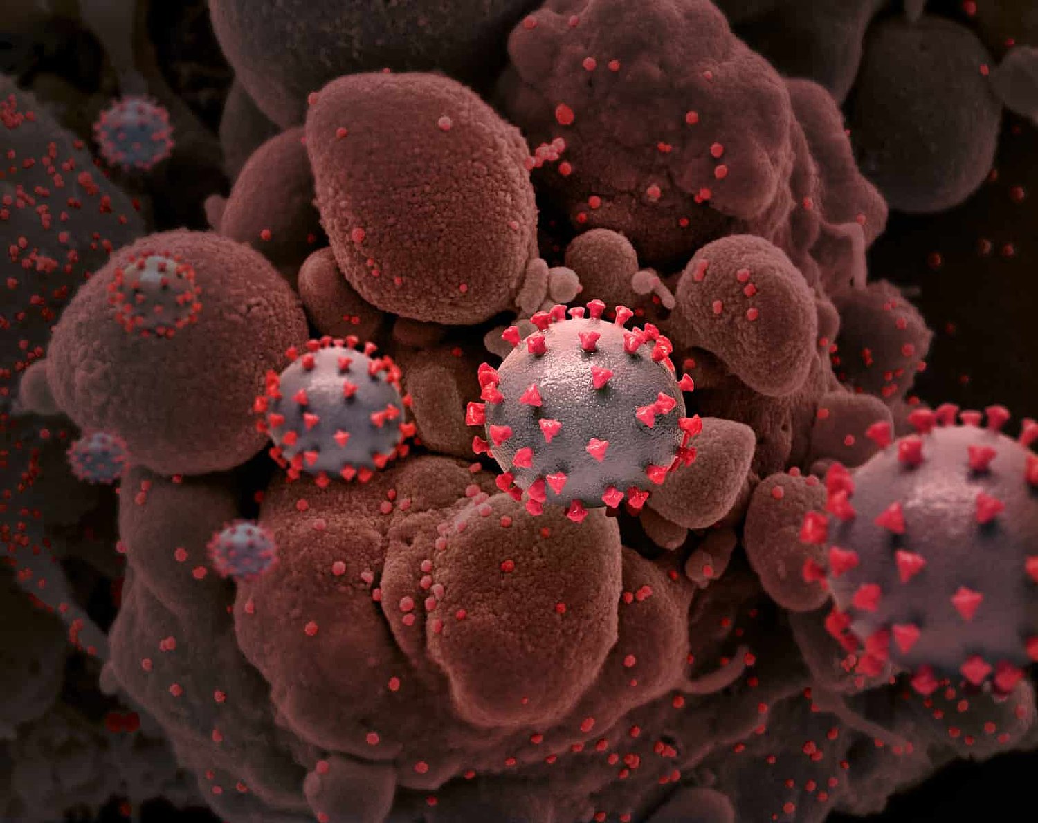 Preprint: COVID-19 shows ‘fingerprint’ of laboratory engineering