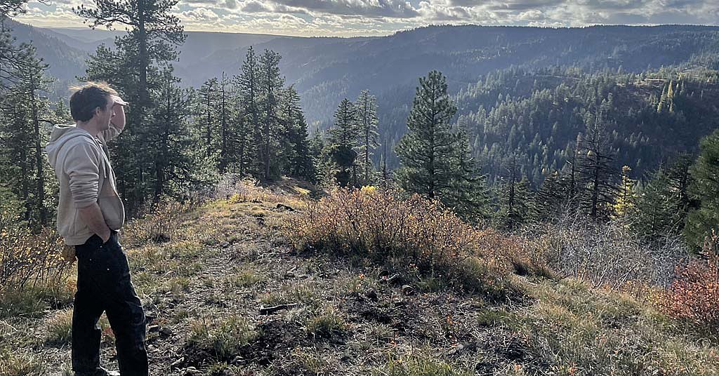 Walla Walla wants to know: Does forest ‘thinning’ work?