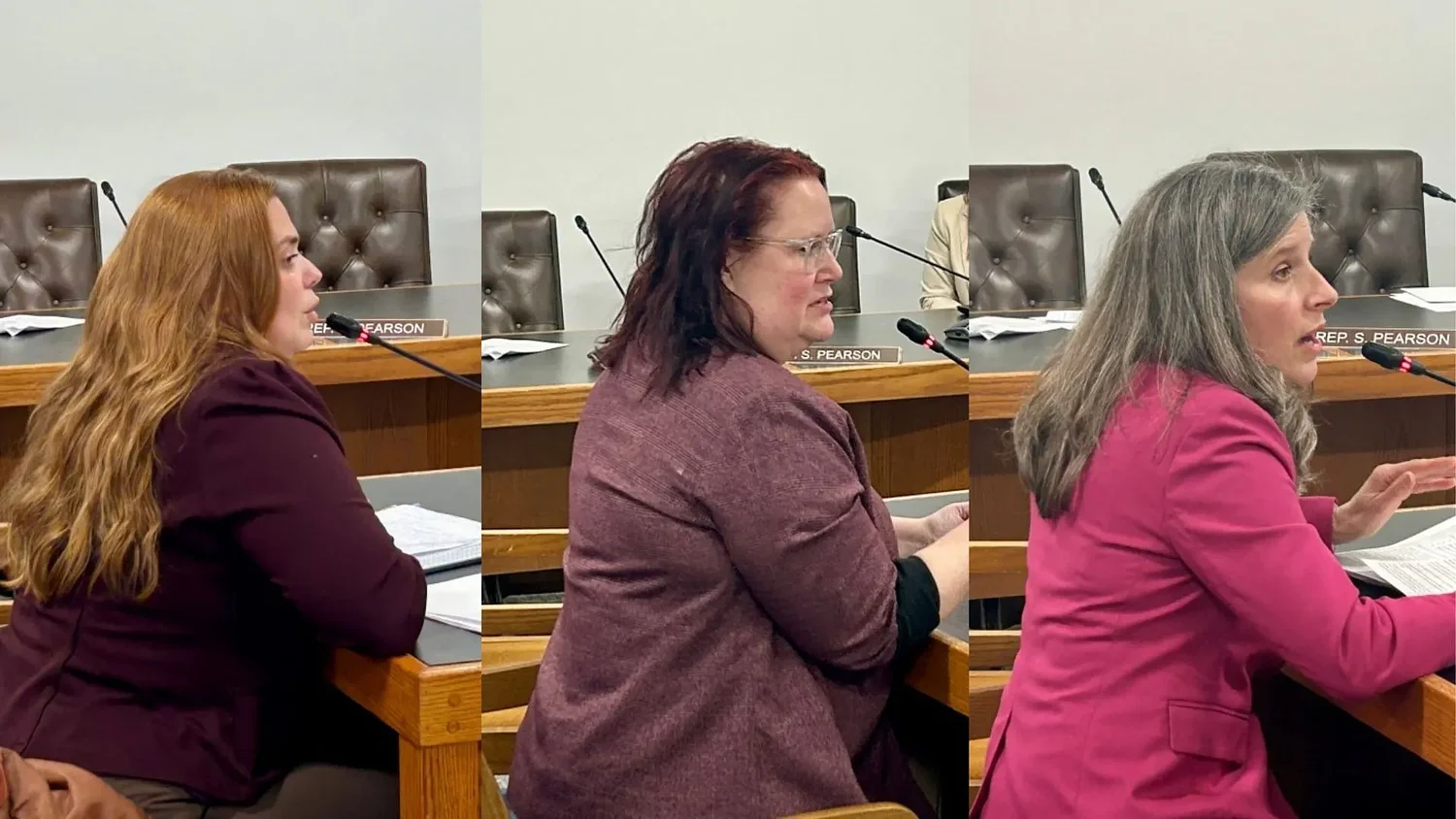 Survivors offer mixed reviews as lawmakers debate oversight of Coalition Against Domestic and Sexual Violence