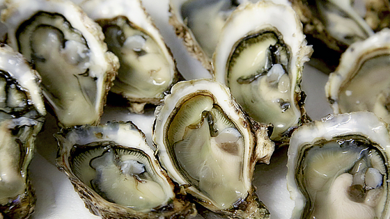 The Best Oyster Bars in Nashville