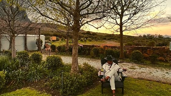 10 Best Stellenbosch Wineries & Tasting Rooms