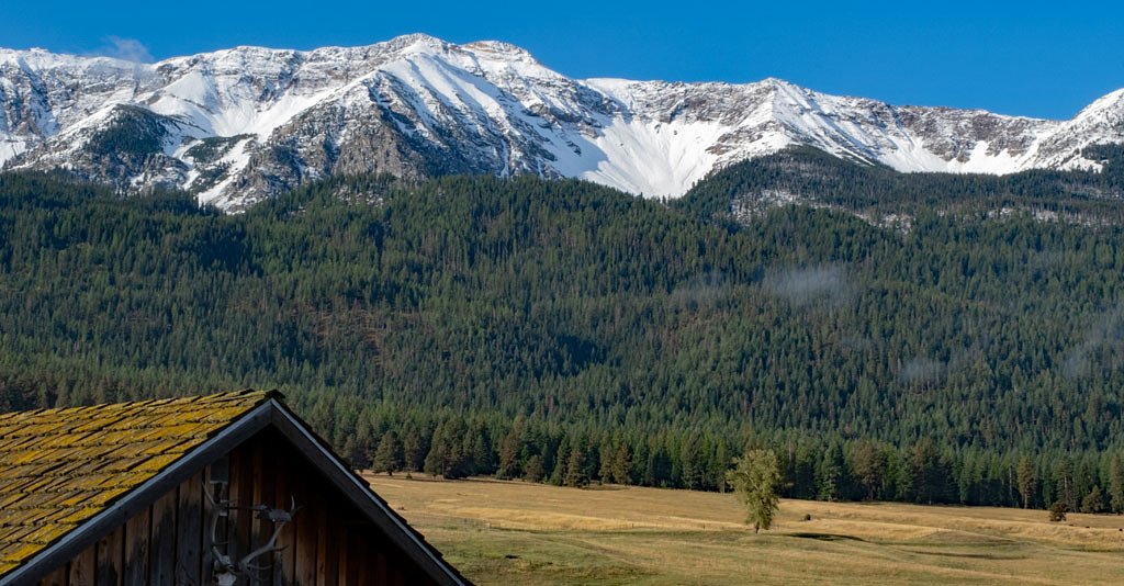 Millions of acres to manage: USFS updating plans for three nat'l forests in Oregon's Blue Mountains
