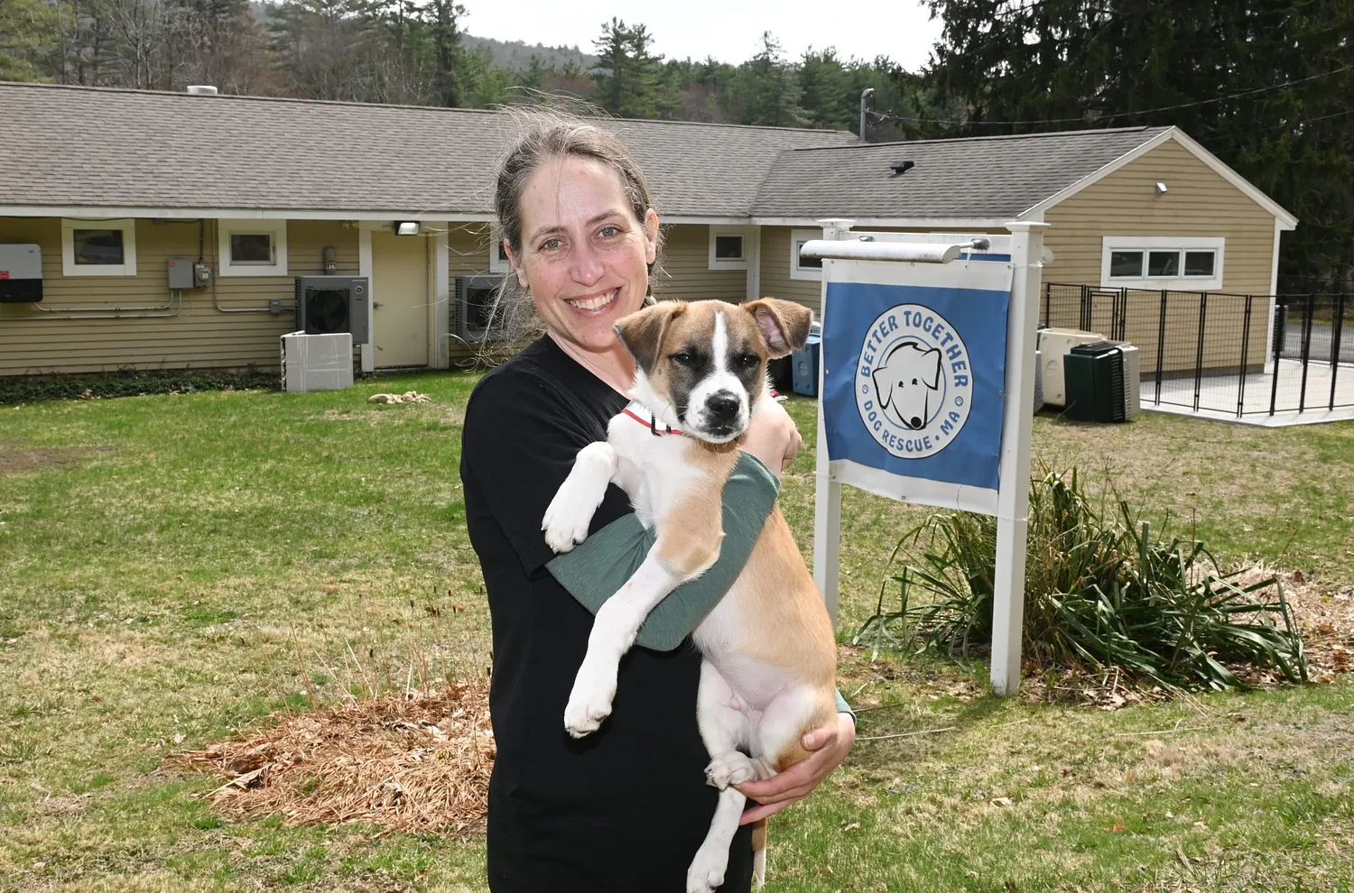 Fostering a new leash on life: How 2,000 dogs found their way to forever homes with Leverett dog rescue
