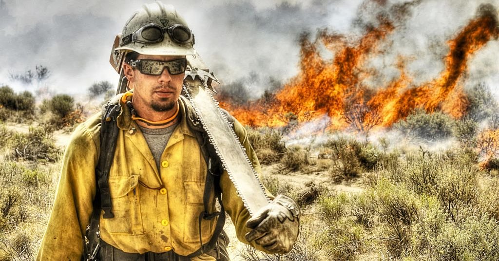 OPINION: Building more roads in national forests won’t prevent wildfires