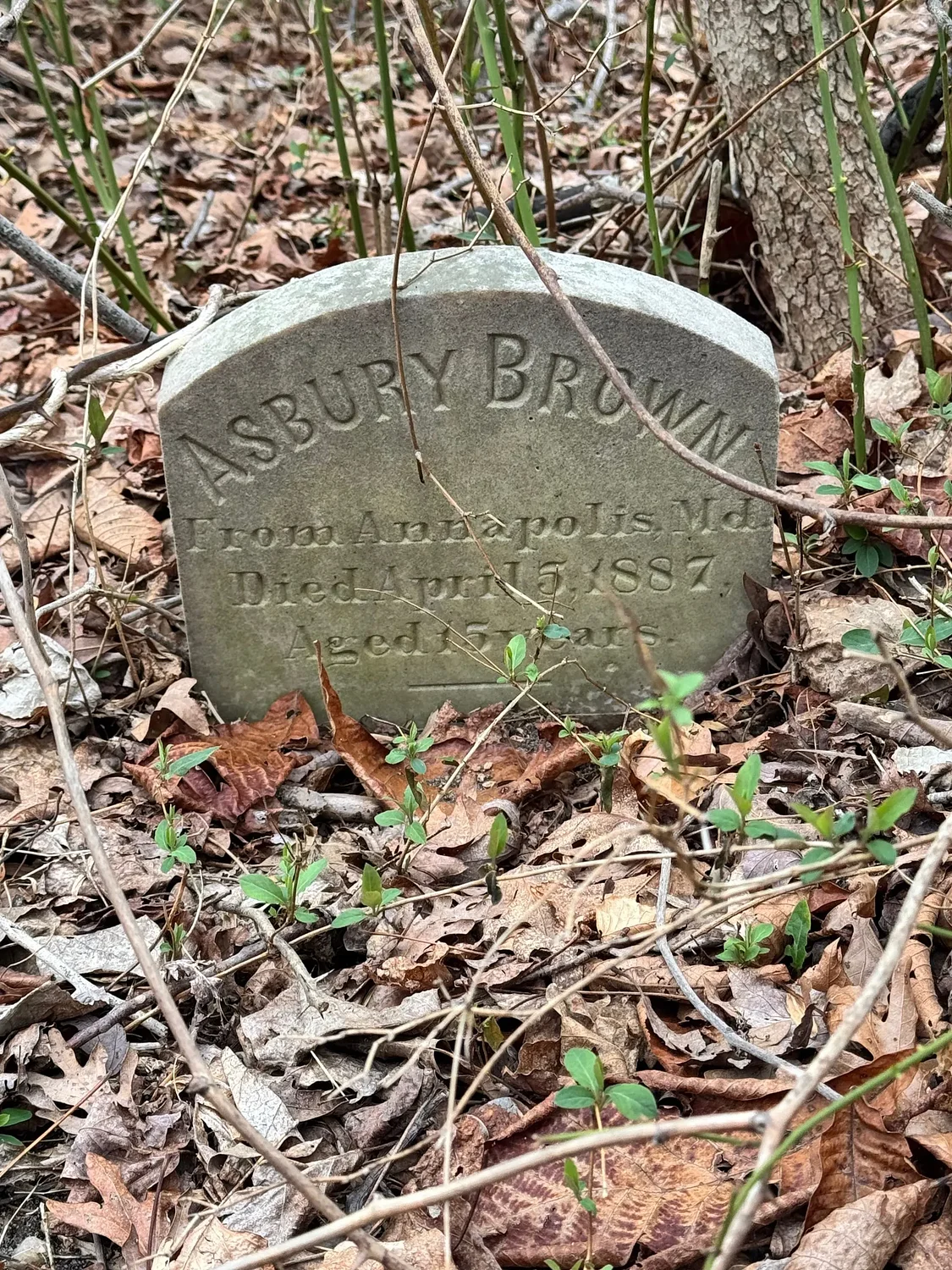 Cheltenham’s lost graves spark push for juvenile justice reform