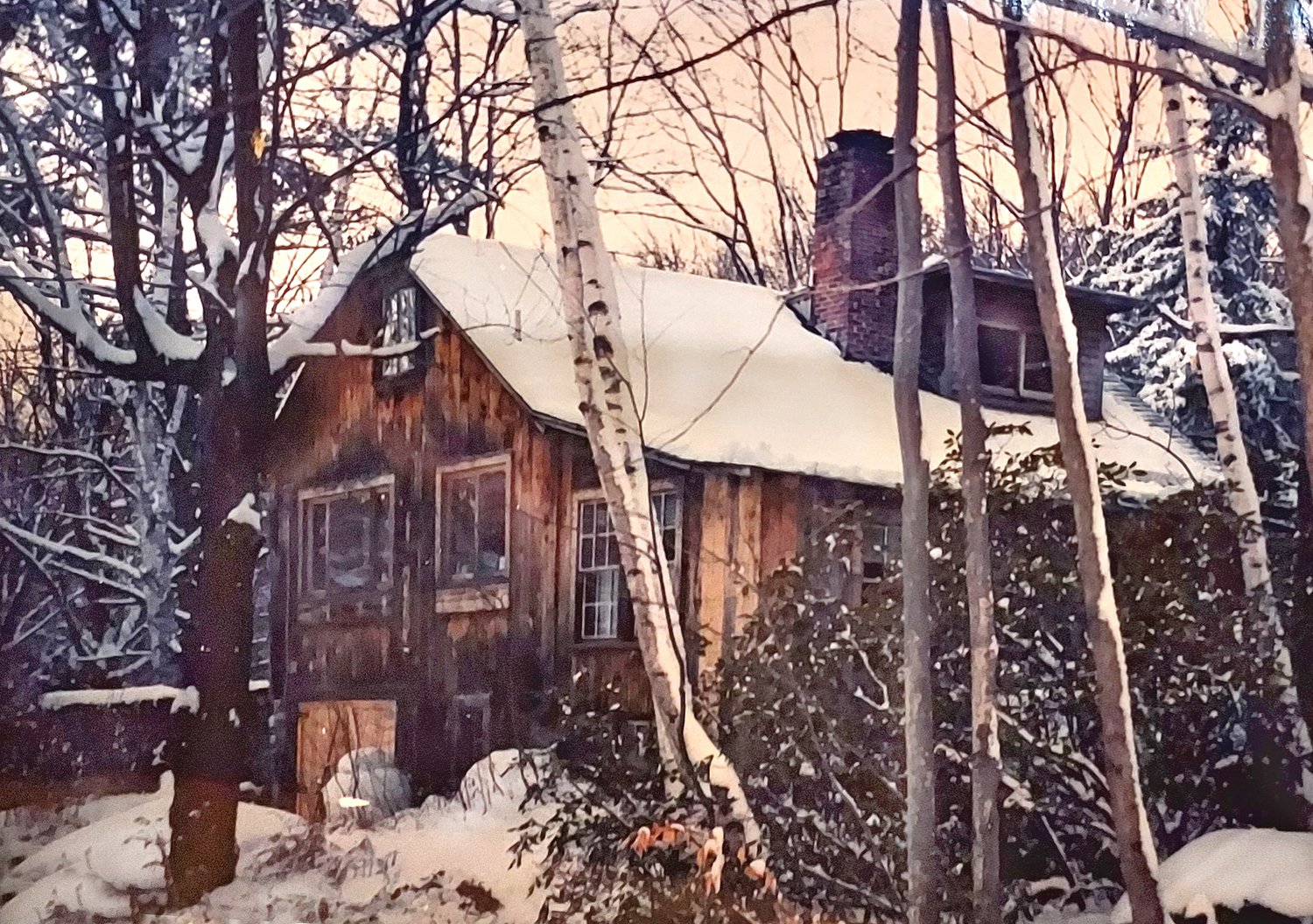 Elsa’s Sanctuary at Willard Pond