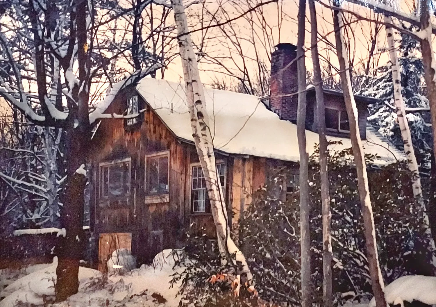 Elsa’s Sanctuary at Willard Pond