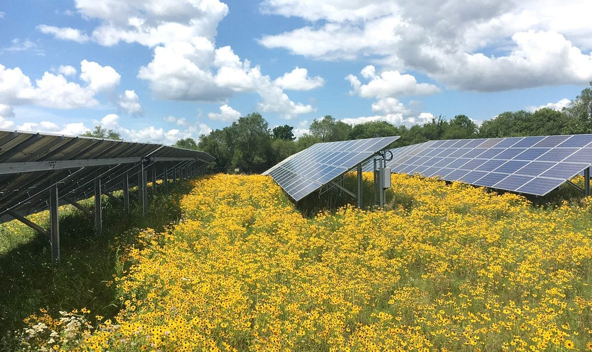 Community Solar Is the Easiest Action You Can Take