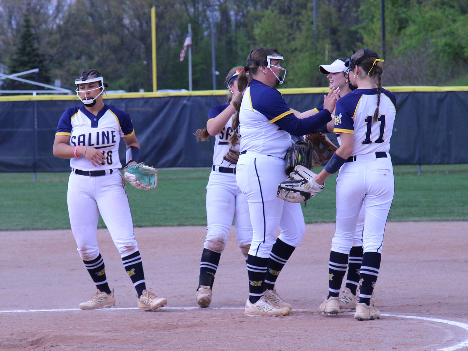 Ann Arbor-area softball roundup: End of an era in regionals