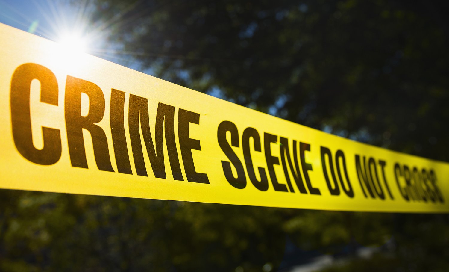 Skeletal human remains found near Utica Marsh Wildlife Management Area