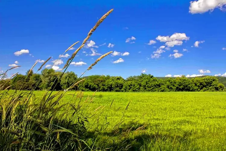 Annual fundraising drive supports land conservation in western Mass