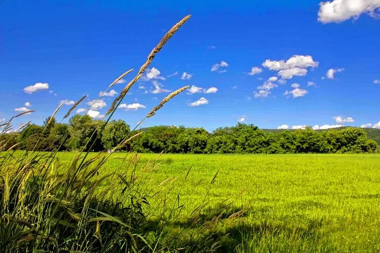 Annual fundraising drive supports land conservation in western Mass