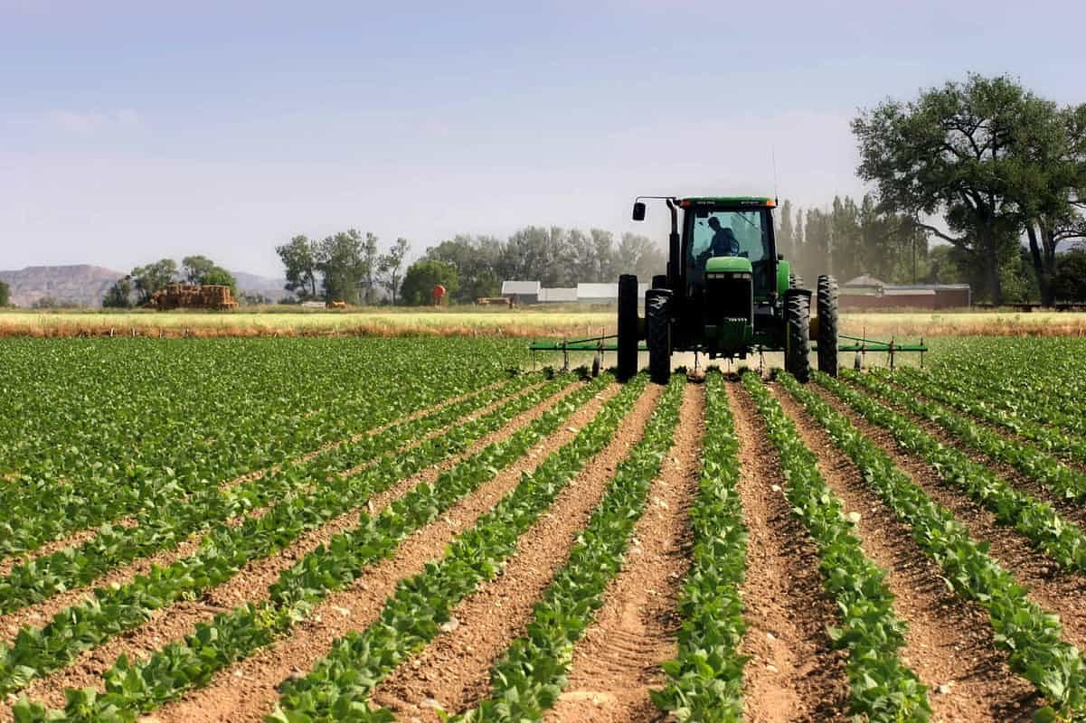 Gates Foundation agriculture project in Africa flunks its own review